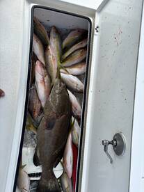 Key West Report Photo 2