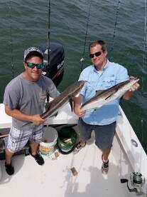 Sounds like a broken record, COBIA!