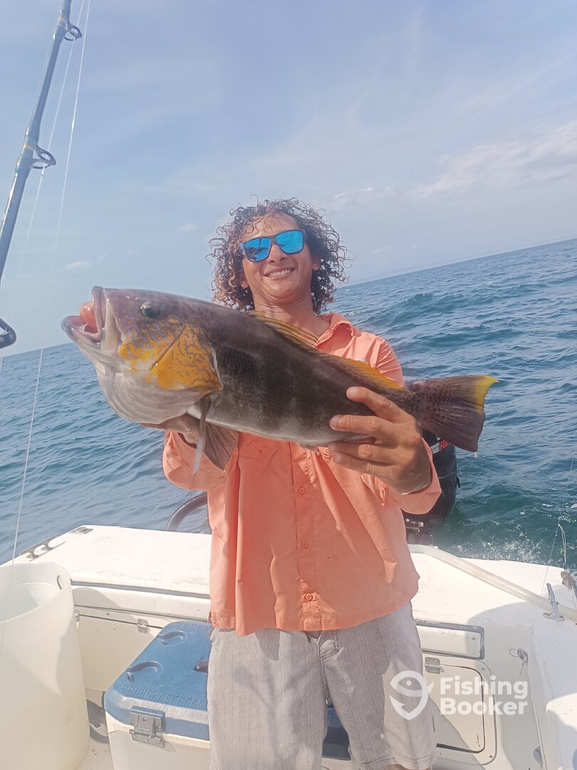 Panamá Report Photo 0