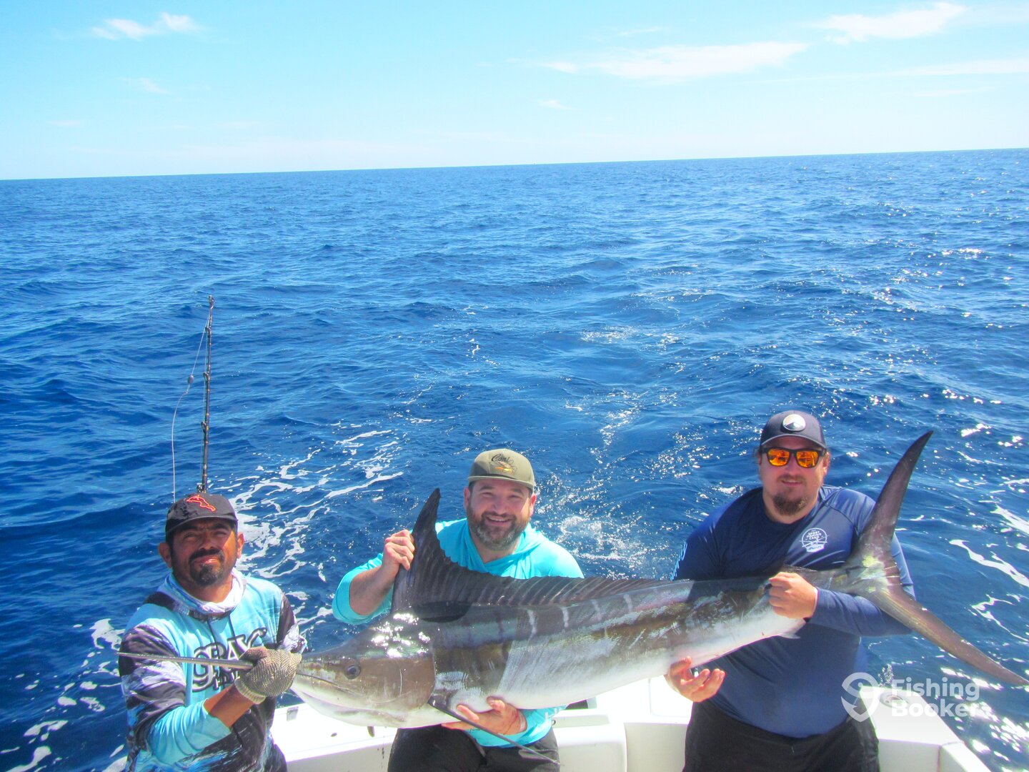 Cabo San Lucas Report Photo 0