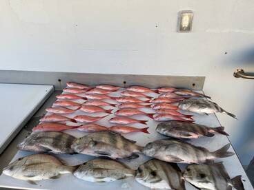 Orange Beach Report Photo 1