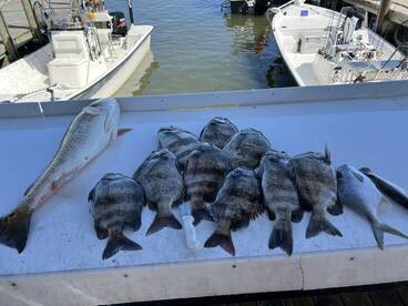 Fishing today