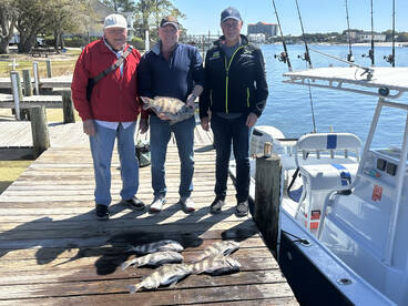 Sheepshead are in fire