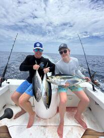 Tunas and sailfish