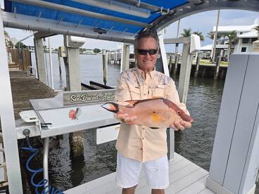 Hog Fish.  An unexpected treasure