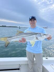 Snook are  chewin