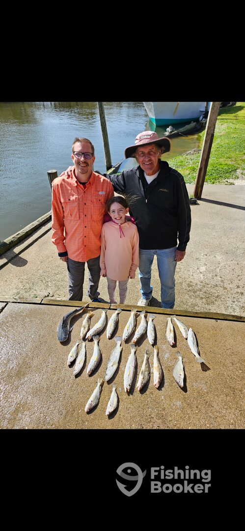 Gulf Shores Report Photo 0