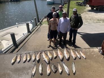 Gulf Shores Report Photo 1