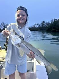 Sarasota Report Photo 1