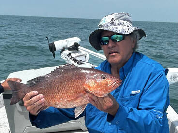 Snapper limits still on