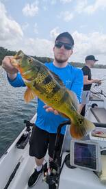 Gamboa Report Photo 2