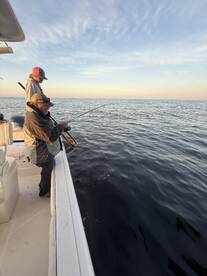 Dauphin Island Report Photo 2