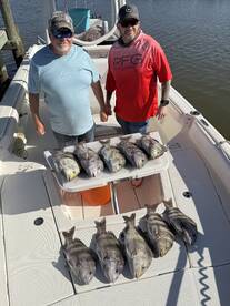 Dauphin Island Report Photo 1