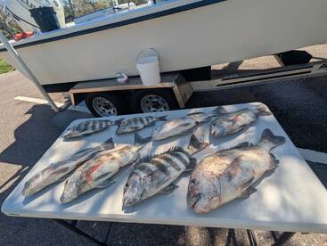 Bay Pines Report Photo 2