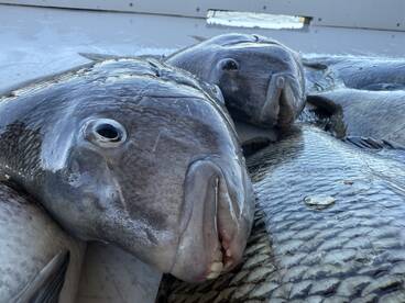 I see you smiling at me!