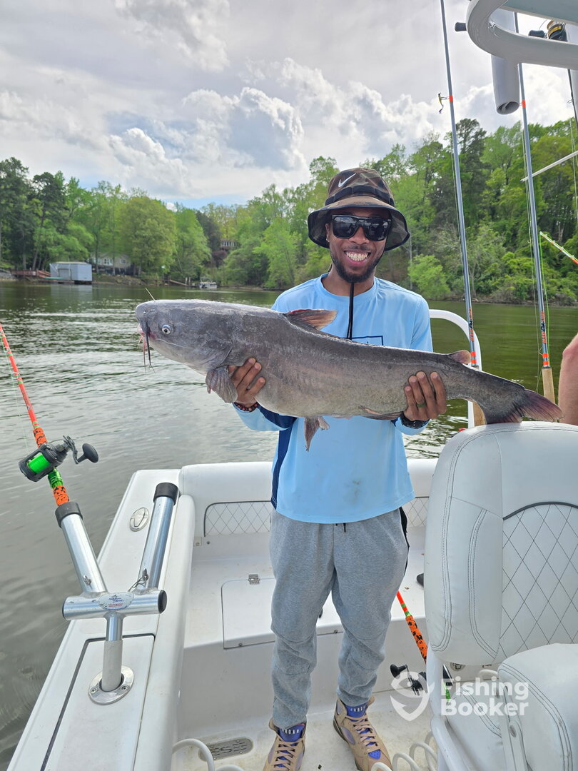 Tega Cay Report Photo 0