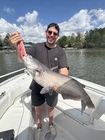 Tega Cay Report Photo 2