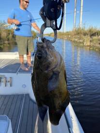 Weston Report Photo 2