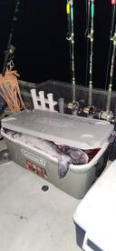 Winter fishing has been good spring  and