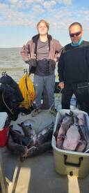 South Carolina Report Photo 2