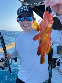 Playa Del Carmen Report Photo 1