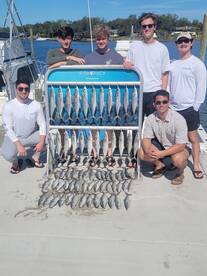 Spanish mackerels have showed up in full