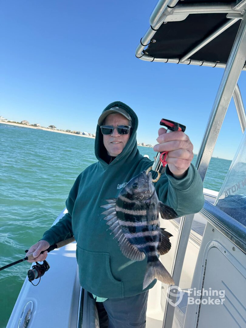 Murrells Inlet Report Photo 0