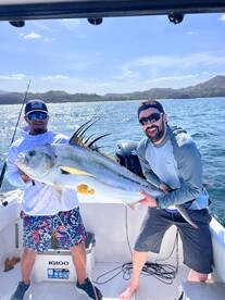 Huge Roosterfish