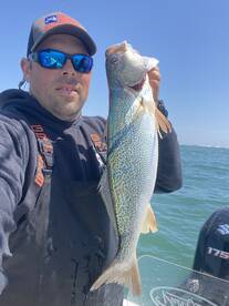 Spring opener