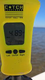 Sight Fishing at it's Finest