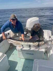 San Jose del Cabo Report Photo 2