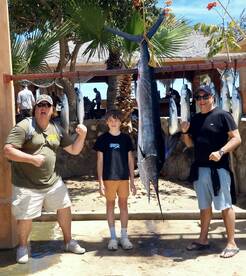 San Jose del Cabo Report Photo 1
