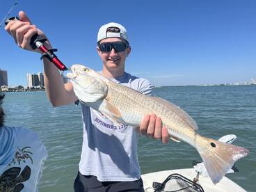 Belleair Bluffs Report Photo 1