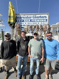 Biloxi Report Photo 1