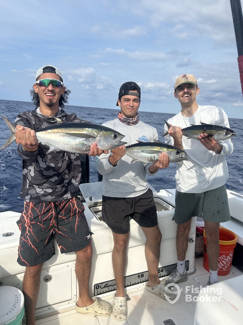 Islamorada Report Photo 0