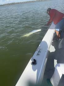 Bonita Springs Report Photo 2