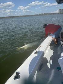 Bonita Springs Report Photo 1