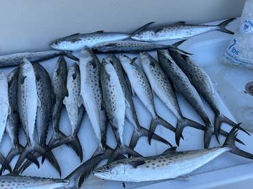 Port Canaveral Report Photo 1