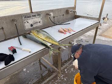 Port Canaveral Report Photo 2