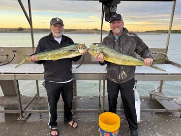 Mahi are bitting  