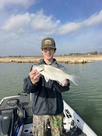 Austin Report Photo 2