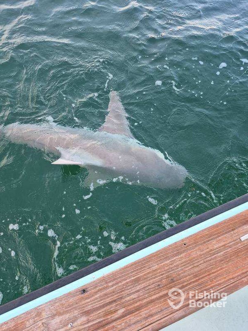 Destin Report Photo 0