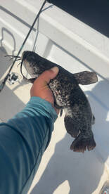 Clewiston Report Photo 1