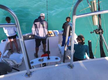 3hr trip action and dinner