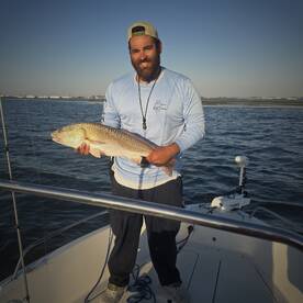 Sarasota Report Photo 2