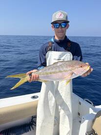 Yellowtail Snapper