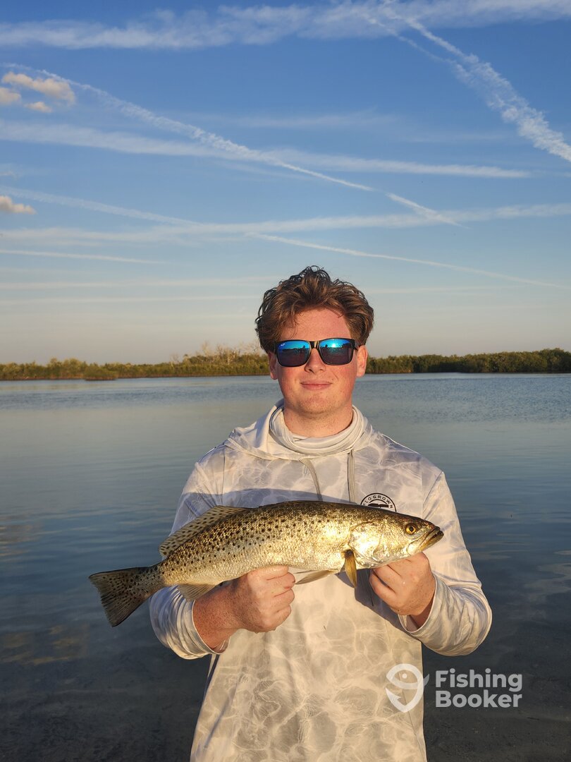 Crystal River Report Photo 0