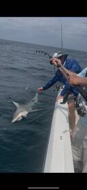 Port Orange Report Photo 1
