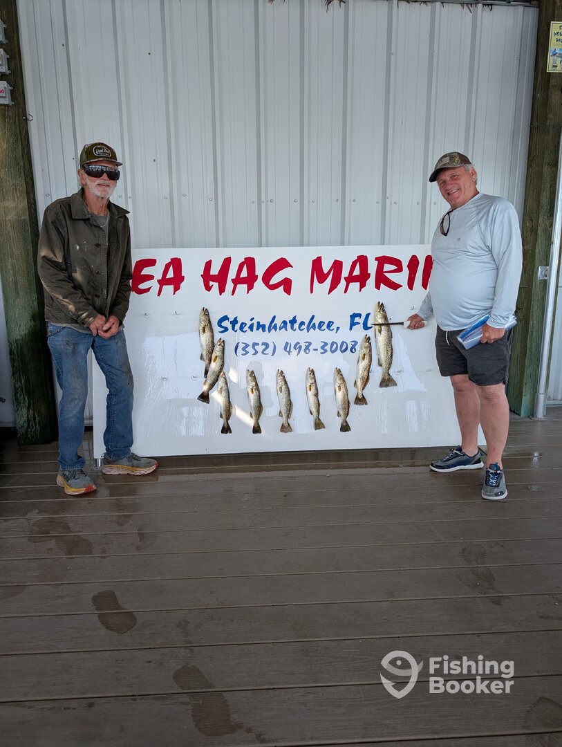 Steinhatchee Report Photo 0