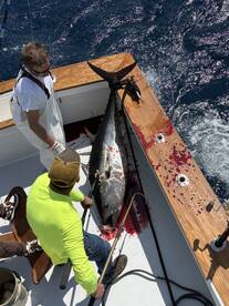 Bluefin tuna 68” on the dock